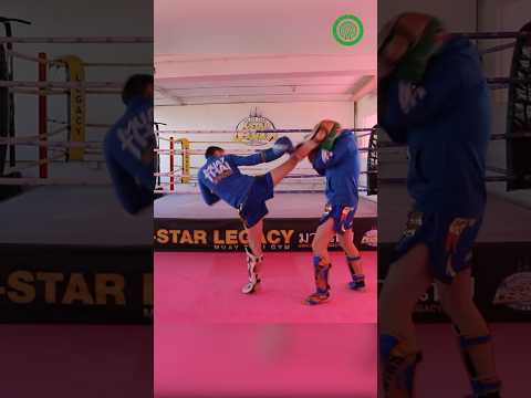 ركلات المواي تاي حركات قتالية مع داميان ترينور