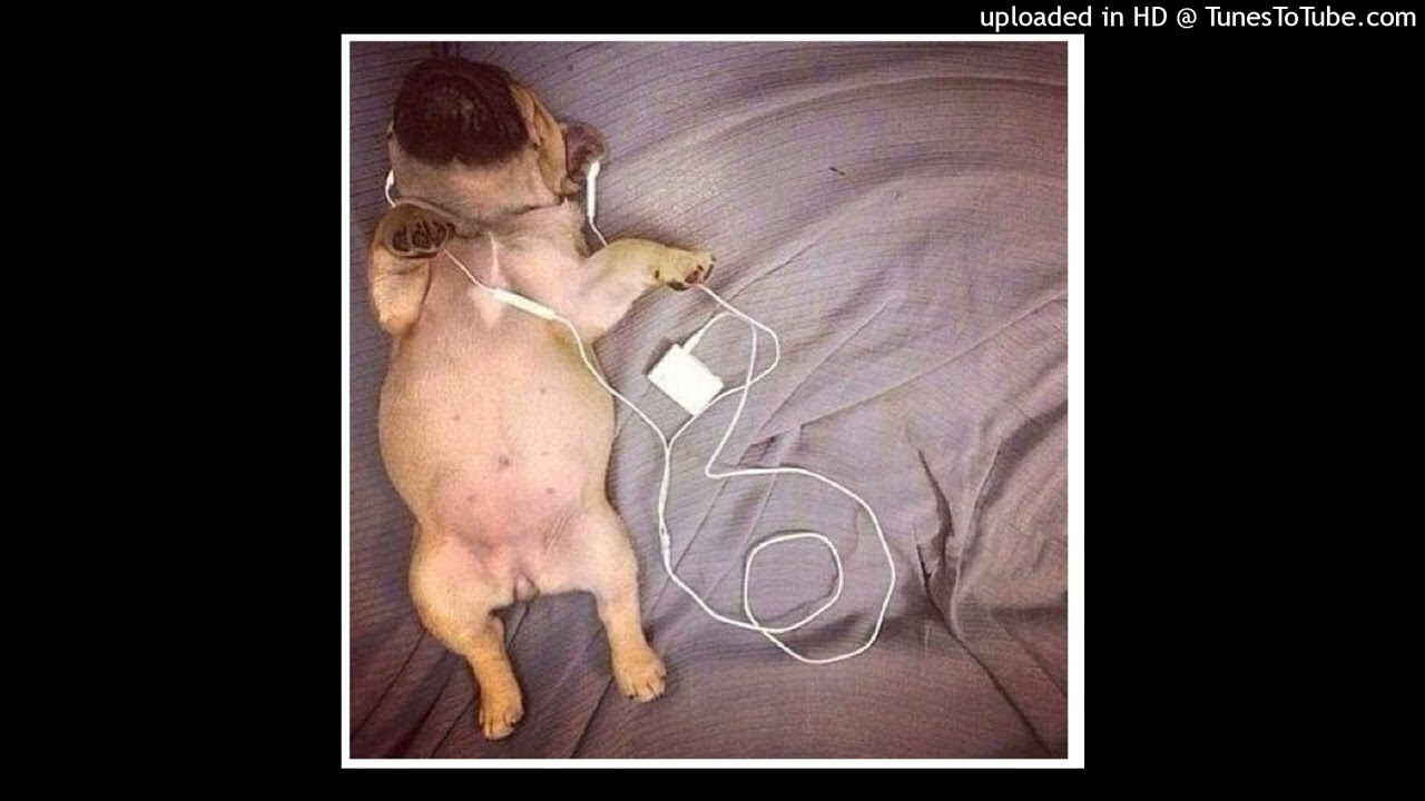 [free for profit] rexv2 + maajins + xtsy* + 15drtt type beat