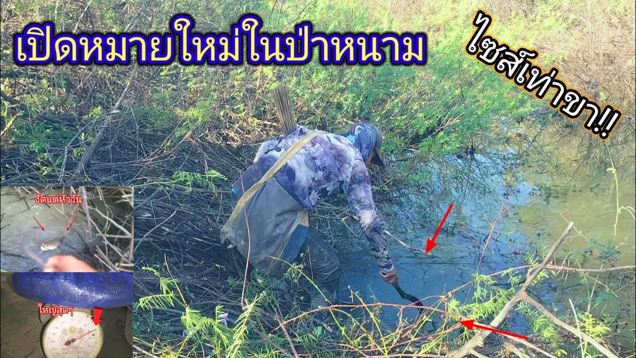 มีแต่ไซส์เท่าขา!!ปักเบ็ดเปิดหมายใหม่ที่ไม่มีใครลุยเข้ามาปักเจอแต่ละตัวคุ้มสุดๆไปเลย