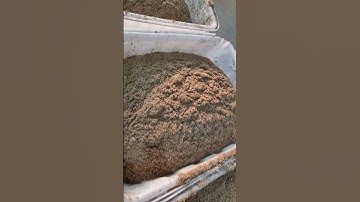 The spent grain after wort filtration