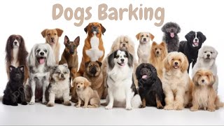 Dogs Breeds  List of 100 Most Popular Dogs Breeds in the World | Part 1|