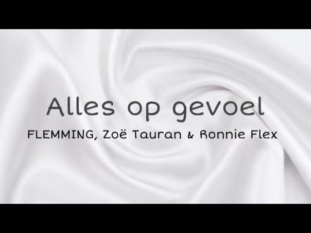 Flemming - Automatisch (Lyrics Video) 