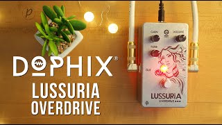 Dophix Perseo ギターエフェクター DOPHIX 独創性に富んだ各種エフェクター・ペダル | ギター