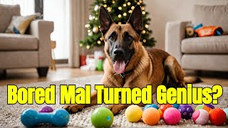Keep Your Belgian Malinois Happy and Entertained — Dog Training & Malinois Tips screenshot 2