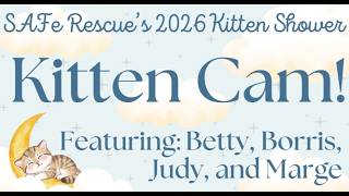 2026 Virtual Kitten Shower Kitten Cam!