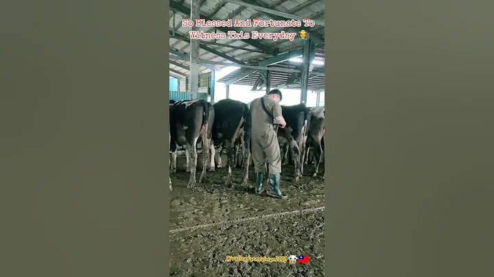 The JJ Dairy Valley Farm!