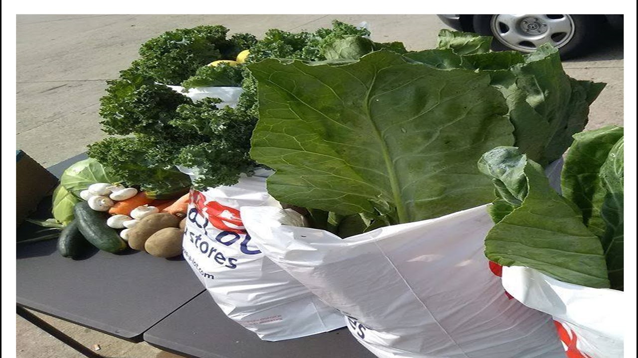 Timonium Fairgrounds