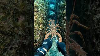 River Fishing Gone Wrong 😱 Big Fish Trap Adventure#fishing #youtubeshorts