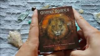 New crystals, unboxing decks, initial thoughts & a good read