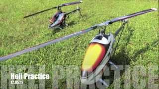 Compass Atom 7HV & T-Rex 550E - 20120511