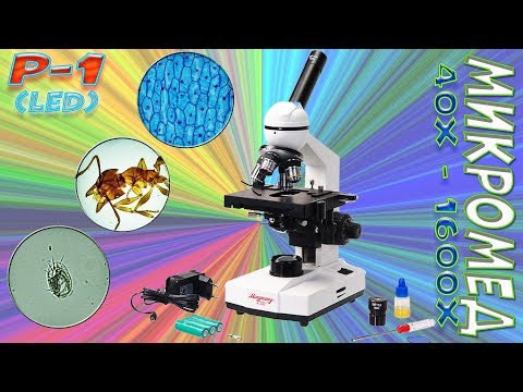 Videó: Hogyan Válasszunk Egy Jó Mikroszkópot Egy Diák Számára, és Ne Fizessük Túl