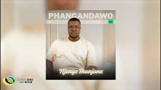 Download lagu Phangandawo - Njengothunjana (feat. Mjabulisi & iCrush Yamajongo)