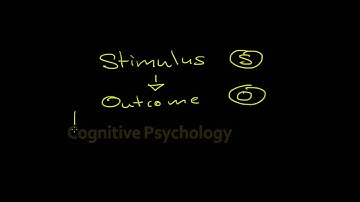 Cognitive Psychology   Introduction
