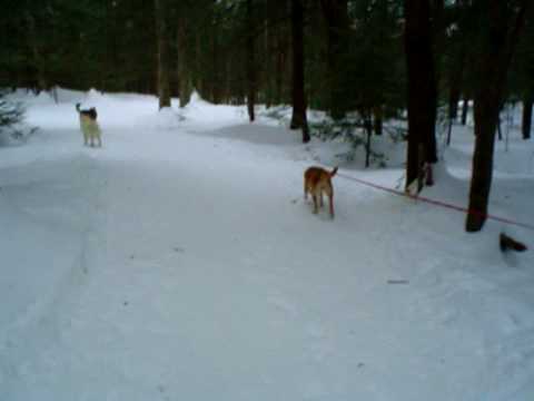 Kiley Brooks Photo 10