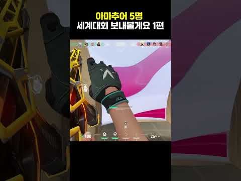 아마추어 5명 세계대회 보내볼게요