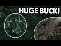 Huge BUCK at 30 Yards! - Whitetail Deer RUT ACTION!