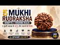 5 Mukhi Rudraksha Benefits & Wearing Rules | Full Guide | Call : 9891441188