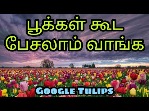 Talking Plants | Google Tulips | TAMIL