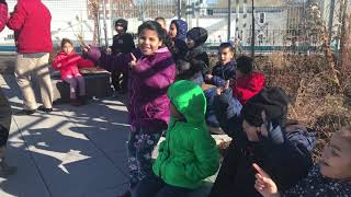 School Garden - Garlic Planting Video