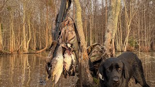 Benelli Super Black Eagle 3 review and pattern testing Winchester Long Beard XRs and Federal TSS