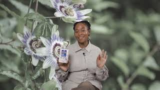 Sleep Blends Uncovered Sleep Valerian