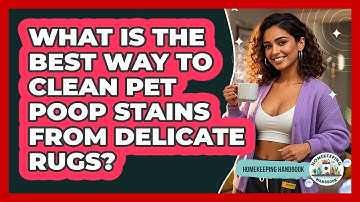 What Is The Best Way To Clean Pet Poop Stains From Delicate Rugs? - Homekeeping Handbook