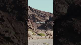 Are Namibias Sand Dunes are Taller and the Empire State Building?