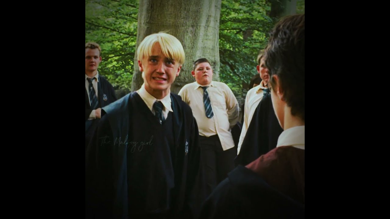 DeMeNtOr So Bad Harrypotter Hpfandom Fandomsupport Dracotok Dracomalfoy Harrypottervillain