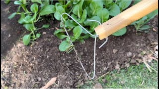 How to make a DIY Wire Weeder - This week in the patch