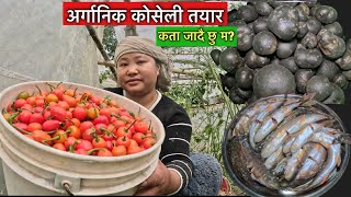 यति मिठा लोकल जिनिस लिएर म जादै छु\ Local vegetable\Village life\Susmita Gharti\
