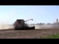 Case IH 7120, Soybean Waste in Your Face, on 10-9-2011