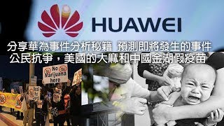 美國的大麻和中國金湖假疫苗（《江峰週末漫談》20190119第9期）