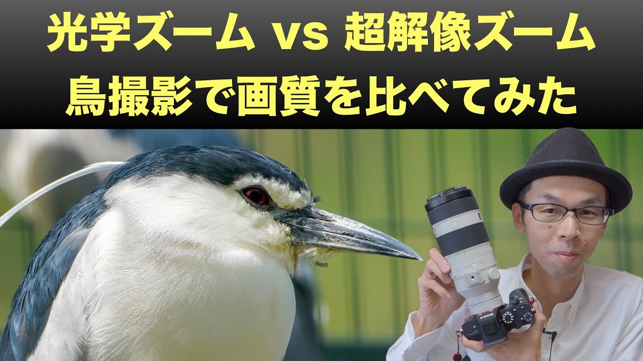 鳥で実験！】全画素超解像ズームと光学ズームの画質のちがい【SONY