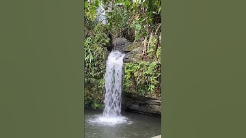 Thumbnail of EL Yunque , National Forest, Puerto Rico, 2022