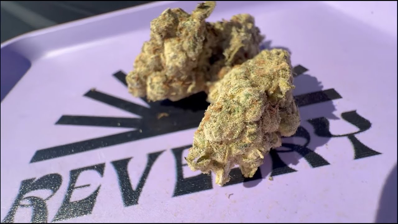 Первый раз в WaWa был просто ОТСТОЙ! Но Jungle Driver из Реверли спас ситуацию!