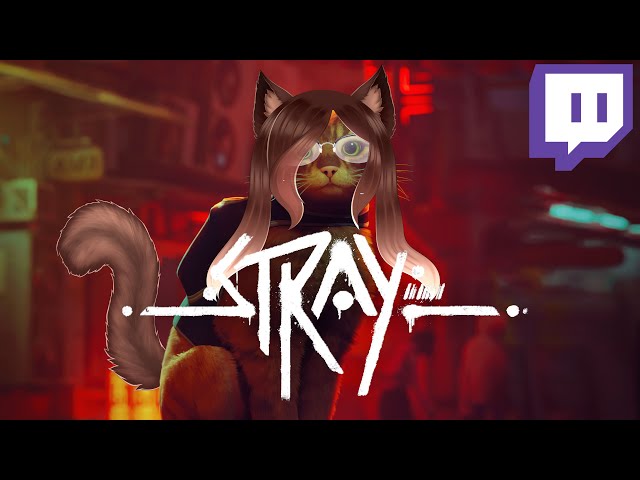 KITTY TIGHT, KITTY CLEAN, KITTY FRESH | Stray | 25th July 2022