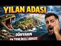Dünyanın en tehlikeli adası (Ilha da Queimada Grande)