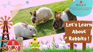 Let's learn About Rabbits!  preschool learning videos for kids l cute bunny rabbit videos