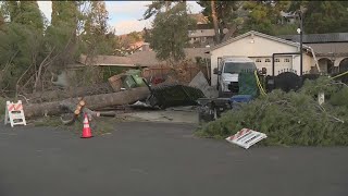 Wind Whips Through Southland