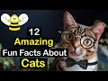 12 Amazing Fun Facts about Cats (Share &amp; Educate Your Cat Lovers Friends)