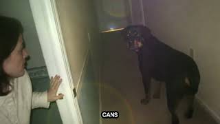 If The Carbon Monoxide Detector Had Dead Batteries, The Rottweiler Was The Only Warning Left
