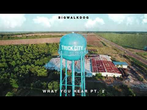 BigWalkDog – What You Hear Pt. 2 [Official Audio]