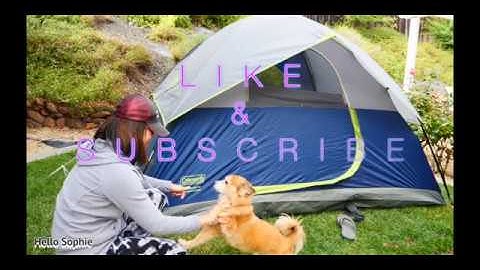 #1 Coleman Sundome 4 Persons Tent