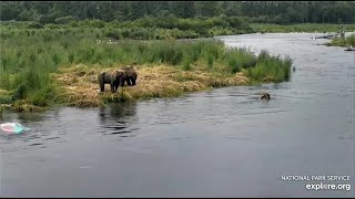 12 Jul 2020 146 And Her Sibling Clean Up Picnic Area Explore