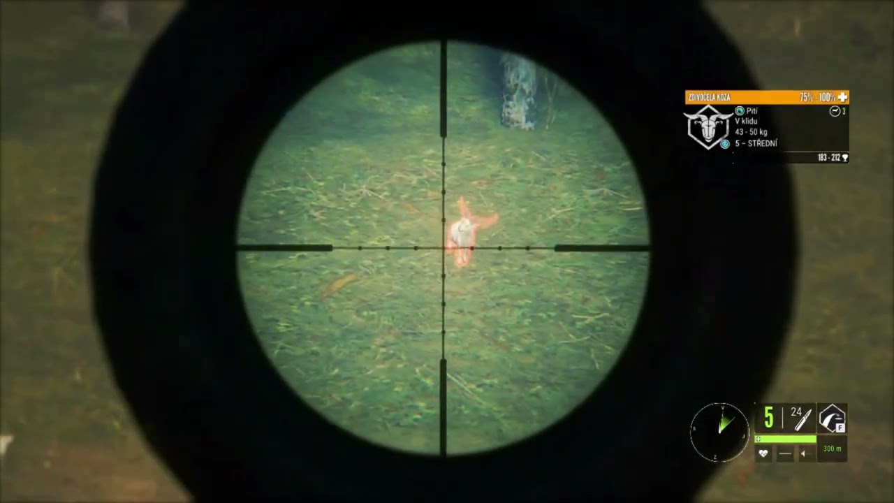 druhá 5 koza zdivočelá na te awaora