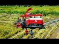 Professional LOVOL RG130 Operator Safety Inspection Before Rice Harvesting Operations