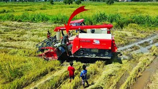 Professional LOVOL RG130 Operator Safety Inspection Before Rice Harvesting Operations