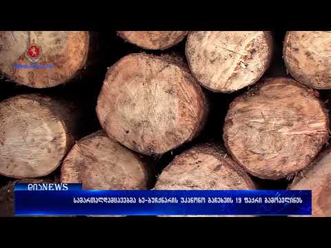 სამართალდამცველებმა ხე-ბუჩქნარის უკანონო გაჩეხვის 19 ფაქტი გამოავლინეს 04.12.2017