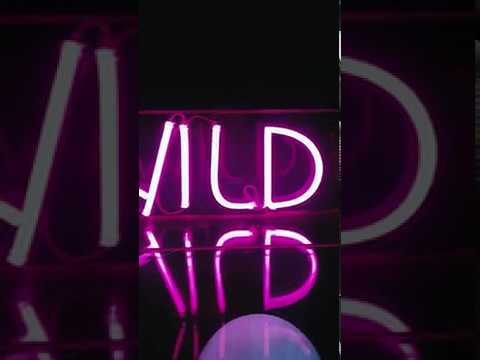 STAY WILD | NEON LIGHT | PRODUCT DISPLAY | IGTV PROJECT