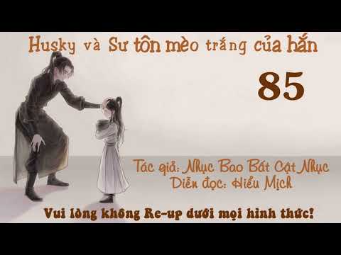 Husky Và Sư Tôn Mèo Trắng Của Hắn